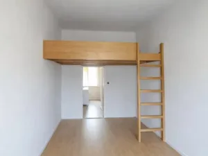 Prodej bytu 1+1, Plzeň - Severní Předměstí, 31 m2