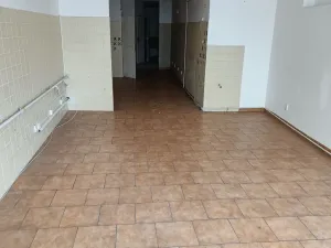 Pronájem obchodního prostoru, Teplice, 57 m2