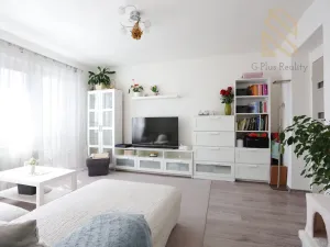 Prodej bytu 3+1, Žatec, 64 m2