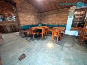 Prodej ubytování, Plzeň, Lindauerova, 800 m2