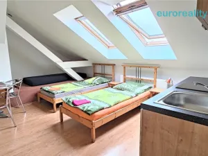 Prodej ubytování, Plzeň, Lindauerova, 700 m2