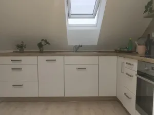 Pronájem bytu 1+kk, Plzeň, Pod Švabinami, 47 m2