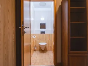 Pronájem bytu 2+kk, Praha - Holešovice, Poupětova, 52 m2