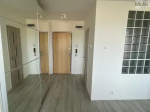 Pronájem bytu 1+kk, Most, Pod Šibeníkem, 32 m2