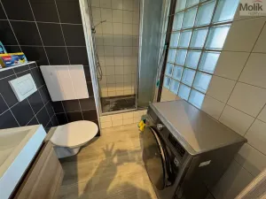 Pronájem bytu 1+kk, Most, Pod Šibeníkem, 32 m2