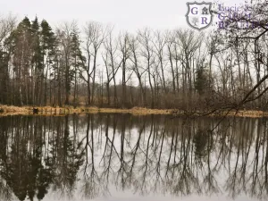 Prodej rybníku, Křivsoudov, 26509 m2