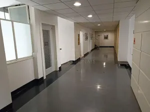 Pronájem kanceláře, Praha - Nové Město, Opletalova, 60 m2