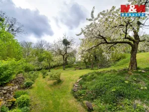 Pronájem zemědělské usedlosti, Čistá, 94 m2