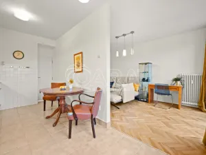 Prodej bytu 4+kk, Praha - Žižkov, Křivá, 91 m2