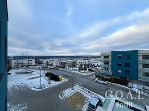 Pronájem bytu 1+kk, Plzeň, Vysoká, 38 m2