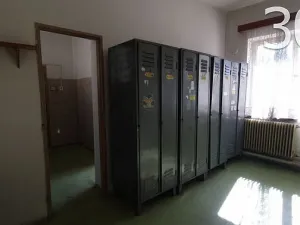 Pronájem skladu, Vsetín, 550 m2