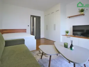 Pronájem bytu 1+1, Brno, Jeneweinova, 47 m2