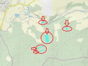 Prodej lesa, Vacov, 14711 m2