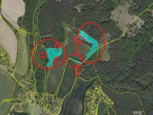 Prodej lesa, Petrovice II, 11117 m2