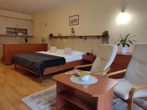 Prodej bytu 1+kk, Luhačovice, 39 m2