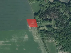 Prodej pole, Bohuslavice, 4151 m2