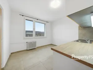 Pronájem bytu 1+1, Ústí nad Labem - Neštěmice, Seifertova, 35 m2