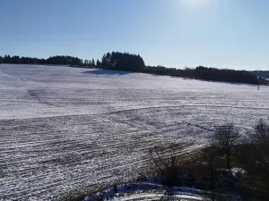 Prodej pozemku pro bydlení, Radnice, Puchmajerova, 850 m2