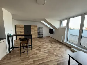 Pronájem bytu 1+kk, Brno, Táborská, 48 m2