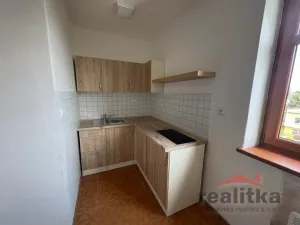 Pronájem bytu 1+kk, Opava, Polní, 28 m2