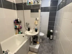 Pronájem bytu 1+1, Děčín - Děčín VI-Letná, 43 m2