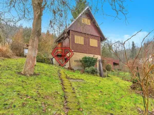 Prodej chaty, Ústí nad Orlicí, 32 m2