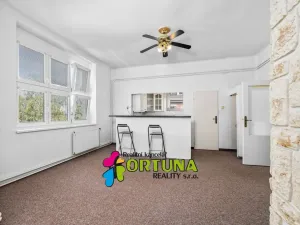 Prodej bytu 2+1, České Budějovice - České Budějovice 3, Fr. Hrubína, 81 m2