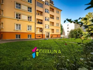 Prodej bytu 2+1, České Budějovice - České Budějovice 3, Fr. Hrubína, 81 m2