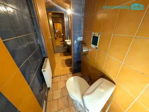 Pronájem kanceláře, Plzeň, Lindauerova, 192 m2