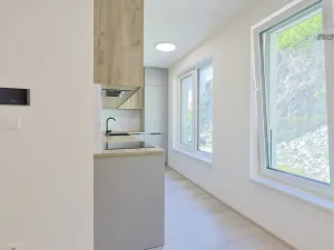Pronájem bytu 2+kk, Brno, Bystrcká, 51 m2
