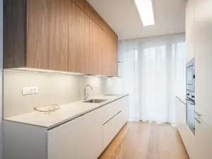 Pronájem bytu 2+kk, Praha - Smíchov, Holečkova, 180 m2