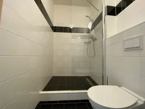 Pronájem bytu 1+kk, Praha - Smíchov, Křížová, 18 m2