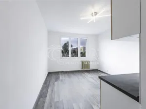 Pronájem bytu 1+kk, Klatovy - Klatovy III, Prusíkova, 19 m2