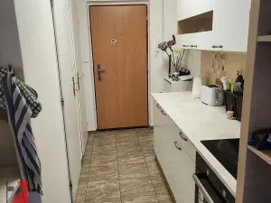 Prodej bytu 2+kk, Kralupy nad Vltavou, sídl. Hůrka, 42 m2