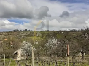 Prodej sadu/vinice, Strážnice, 2284 m2