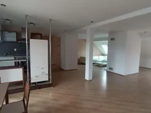 Pronájem bytu 4+kk, Teplice, Svatopluka Čecha, 210 m2