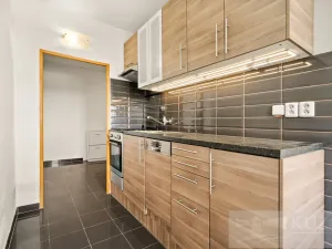 Pronájem bytu 2+1, Plzeň, Terezie Brzkové, 68 m2