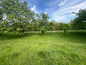 Prodej pozemku, Hřibojedy, 2371 m2