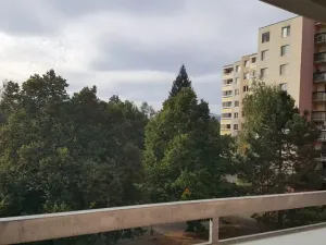 Pronájem bytu 1+kk, Brno, Běloruská, 30 m2