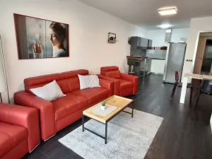Pronájem bytu 2+kk, Olomouc, Dlouhá, 61 m2