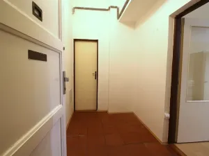 Dražba bytu 2+kk, Praha - Břevnov, U kaštanu, 50 m2