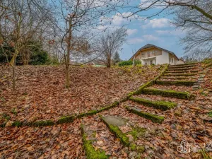 Prodej rodinného domu, Loket, Sokolovská, 335 m2