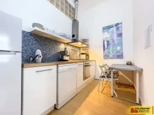 Prodej atypického bytu, Brno, Veselá, 111 m2