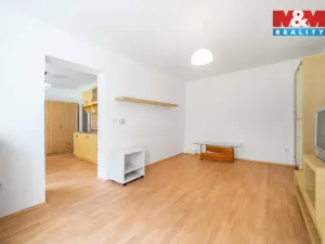 Pronájem bytu 1+1, Praskolesy, 30 m2