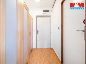 Pronájem bytu 1+1, Praskolesy, 30 m2