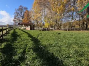 Prodej komerčního pozemku, Bor, 1427 m2