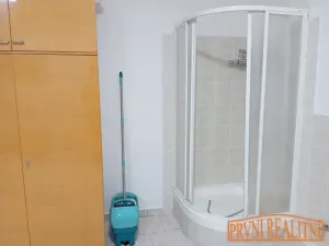 Pronájem bytu 4+1, Uherský Brod, Bří Lužů, 138 m2