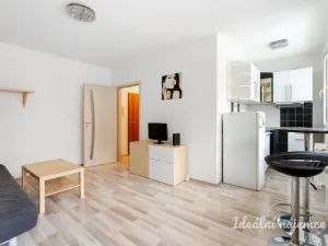 Pronájem bytu 1+kk, Praha - Prosek, Bílinská, 26 m2
