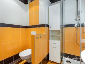 Pronájem bytu 1+kk, Praha - Prosek, Bílinská, 26 m2