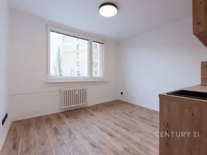 Pronájem bytu 2+kk, Litvínov, U Zámeckého parku, 35 m2